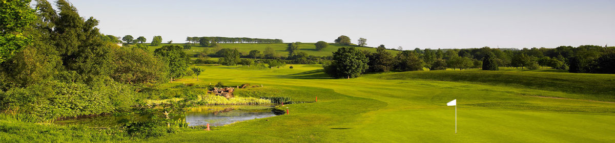 Tracy Park Golf Club, 2 miles from the cottage